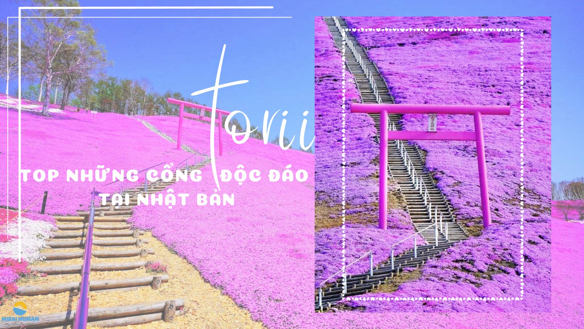 lao động Nhật Bản